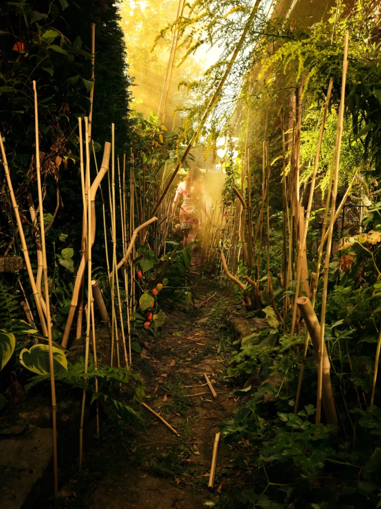 Bamboo: Entropy (APOPHENIA) – staged photograph by Seb Agnew