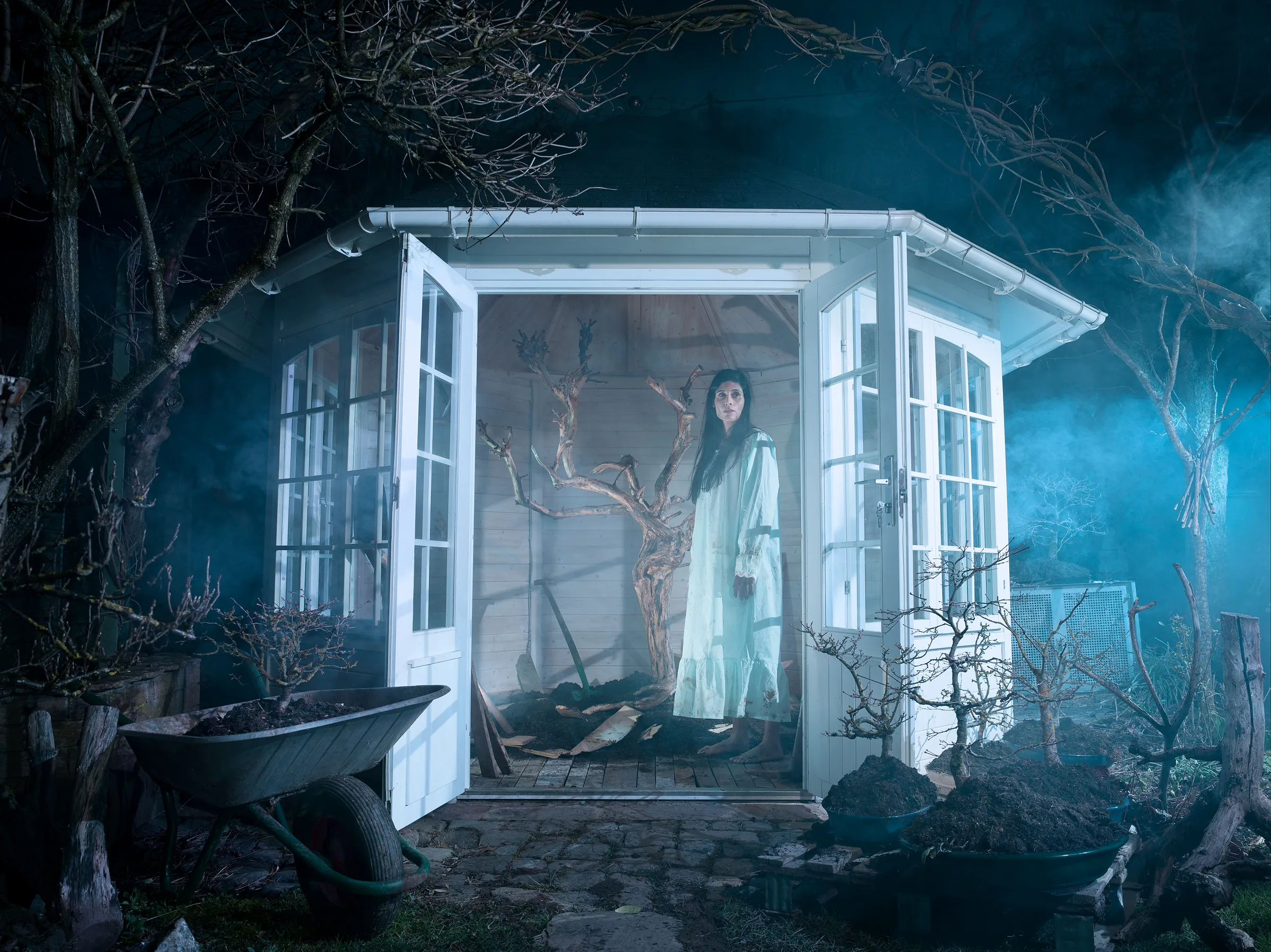 Trees (SYNCOPE) – staged photograph by Seb Agnew
